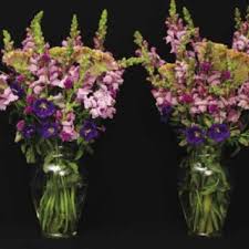 Wholesale prices and freshness guaranteed. Pdf Summer Production Of Specialty Cut Flowers In High Tunnels
