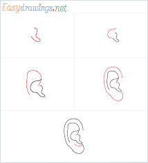 1 step:1 first you have to draw intersect line. How To Draw An Ear Step By Step 5 Easy Phase