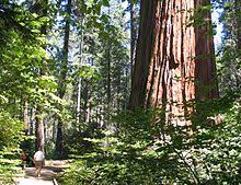 Maybe you would like to learn more about one of these? Dewiki State Parks In Kalifornien