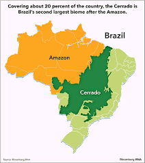 soy and the cerrado exports ecology collide in brazil s savanna biomes brazil amazon bloomberg
