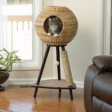 Pin On Bamboo