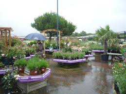 Cadbury Garden Centre Bristol Justgardencentres