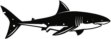 Download 67 shark black and white cliparts for free. Shark Black And White Clipart Free Download Transparent Png Creazilla
