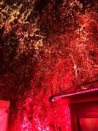 Mcfly es joven, inquieta, ambiciosa y salvajemente inconformista. David Mcfly Mcfly Ef Twitter