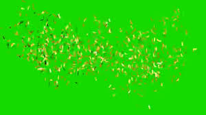 Confetti on green screen falling. Realistic Gold Confetti Falling Green Screen Animation Footage Stock Video Footage By C Maraha 198342590