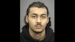 Hamilton Police are looking...