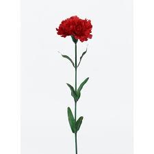 Summer Collection 23 Red Carnation Stem 12 Piece Walmart Com Red Carnation Red Blossoms Carnations
