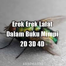 Aug 13, 2021 · buku mimpi : Halaman Download Erek Erek Lalat Dalam Buku Mimpi 2d 3d 4d Paradoks