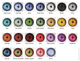 Rare Eye Colors Chart Google Search Writing Stuff Writi