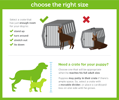 Complete Guide To Dog Crate Size Paw Castle