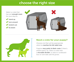 complete guide to dog crate size paw castle