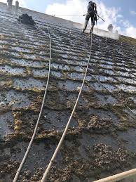 Moos Auf Dem Dach Moos Vom Dach Entfernen Osmo Clean