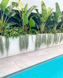 Oh It S The Weekend The Weather Is Going To Be Great Enjoy Your Pools And Landscapes Habitatla Tropical Pool Landscaping Pool Landscaping Tropical Backyard