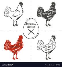Chicken Cuts Diagram