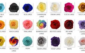 Maybe you would like to learn more about one of these? Preserved Flowers Wholesale By Bloomsfully In Miami Fl Alignable