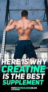 Pin On Best Muscle Building