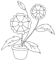 Error De La Base De Datos Coloring Pages Coloring Pictures Flower Printable