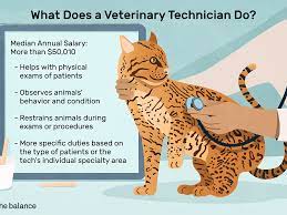 Veterinary assistants help the veterinarian and other staff members maintain the veterinary clinic, research lab, or other zoological facility. Veterinary Technician Salary College Learners