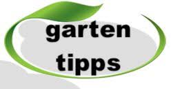 Schmalen Garten Breiter Wirken Lassen 5 Leicht Umzusetzende Tipps Garten Tipps In 2021 Bepflanzung Garten Anpflanzen Blutenendfaule