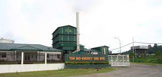 Basically, the fsdps are located throughout. Tsh Remains Top Pick As Profits Improve In 4q Borneo Post Online