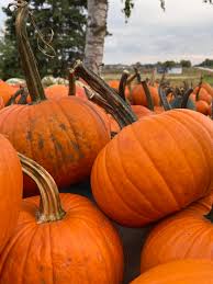 Willis and gladys continued to grow the business, and in 1969 the farm you see today moved to germantown. Pick Your Own Pumpkins Apples Gourds At Peter S Pumpkin Patch In Kaukauna Wluk