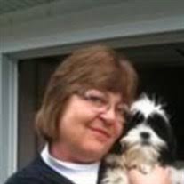 Jill Marie Shield Obituary (2021)