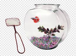 Everyone who has seen my vase has wanted one and they are super simple to make! Glass Ceramic Siamese Fighting Fish Vase Tableware Betta Glass Child Animals Png Pngwing