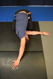 Effective Stretches To Prevent Injury And Gain Flexibility For Brazilian Jiu Jitsu Jiu Jitsu Training Jui Jitsu Bjj Training