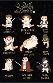 Star Wars Kitty Star Wars Humor Star Wars Memes Star Wars