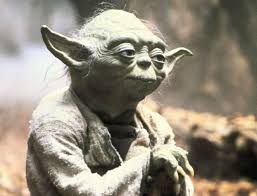 Image result for yoda image