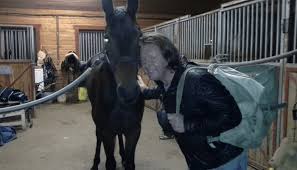 Listen to music by svein østvik on apple music. Svein Ostvik Forteller Derfor Har Jeg Vaert Singel I 14 Ar