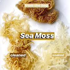 Maybe you would like to learn more about one of these? 100 Organic Irish Sea Moss Superfood Sun Dried Donata Skinfood