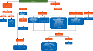 Stage 4 lung cancer is the most advanced stage of the disease. Treatment Algorithm For Stage Iv Lung Scc A Molecular Testing Is Not Download Scientific Diagram