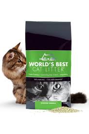 Welcome To Hassle Free Cat Care Best Cat Litter Natural Cat Litter Cats