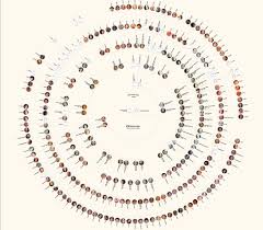 how to create beautiful family tree charts on myheritage and