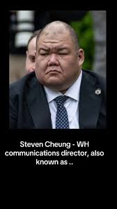 Steven Cheung Communication Director | TikTok