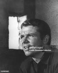 1,656 Audie Stock Photos, High-Res Pictures, and Images