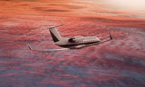 The Ultimate Guide to Private Jet Membership