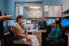 Image result for Disa walleri