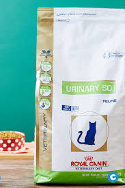 Top recommended cat foods for urinary problems. Pin On Pet Health Wellness