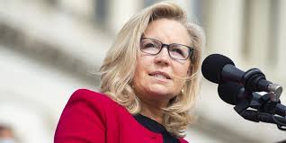 Liz Cheney Calls Out Trump's Latest Lie