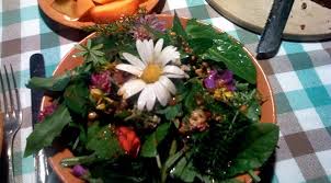 Kräutergarten ist ein garten oder gartenteil, der speziell für küchenkräuter, würzkräuter oder heilkräuter angelegt wurde. Krautergarten Vor Dem Haus Pardatsch