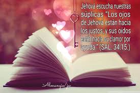 Jw Org Dichos De Vida Frases De Buenos Dias Palabra De Dios