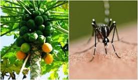 Image result