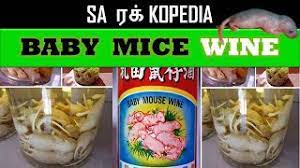 How Do They Preare Baby Mice Wine World S Scariest Drink Baby Mice Wine Explained In Tamil Youtube