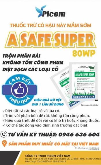 A Safe-super 80WP
