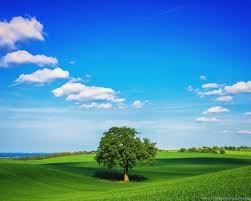 Full Hd 1080p Nature Wallpapers Desktop Backgrounds Hd Downloads Desktop Background We hope you enjoy our growing collection of hd images.