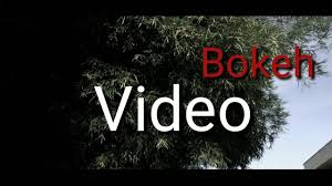 Video bokeh museum xxnamexx mean in; Video Bokeh Keren 2020