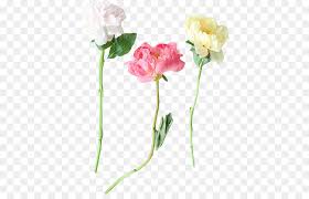 ✓ free for commercial use ✓ high quality images. Pink Flower Cartoon Png Download 445 570 Free Transparent Garden Roses Png Download Cleanpng Kisspng