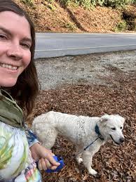 Reuniting Ellie with her owners now! Ellie was found behind Headwaters  Outfitters, she's been missing for 2 weeks and had a long journey. Excited  to reunite her with her owner!